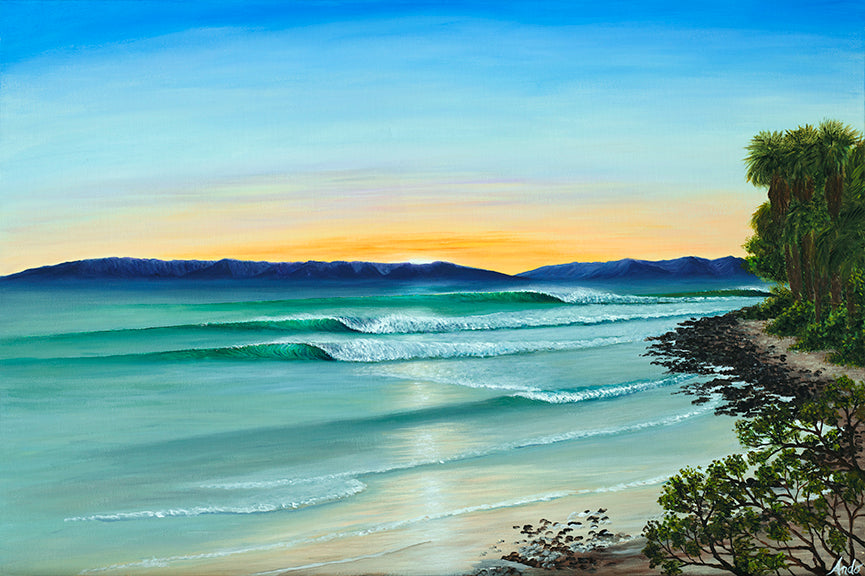 Tropical Hardwood Coasters