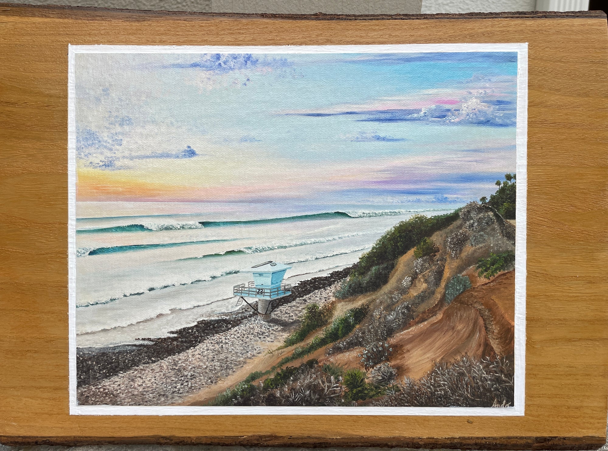 Sunset at South Carlsbad Campground - mounted on live bark wood