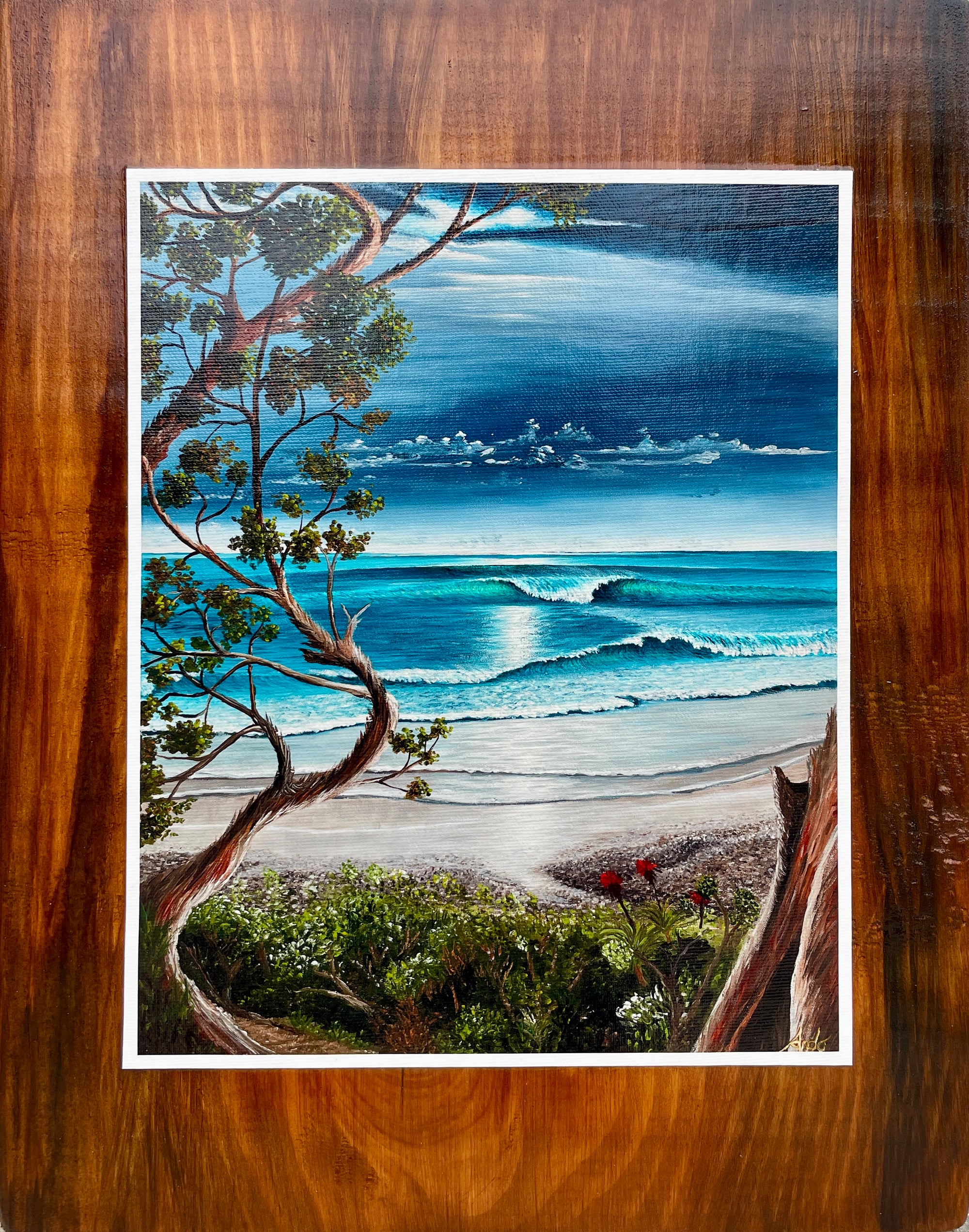 Seaside Reef from the Solana Trail